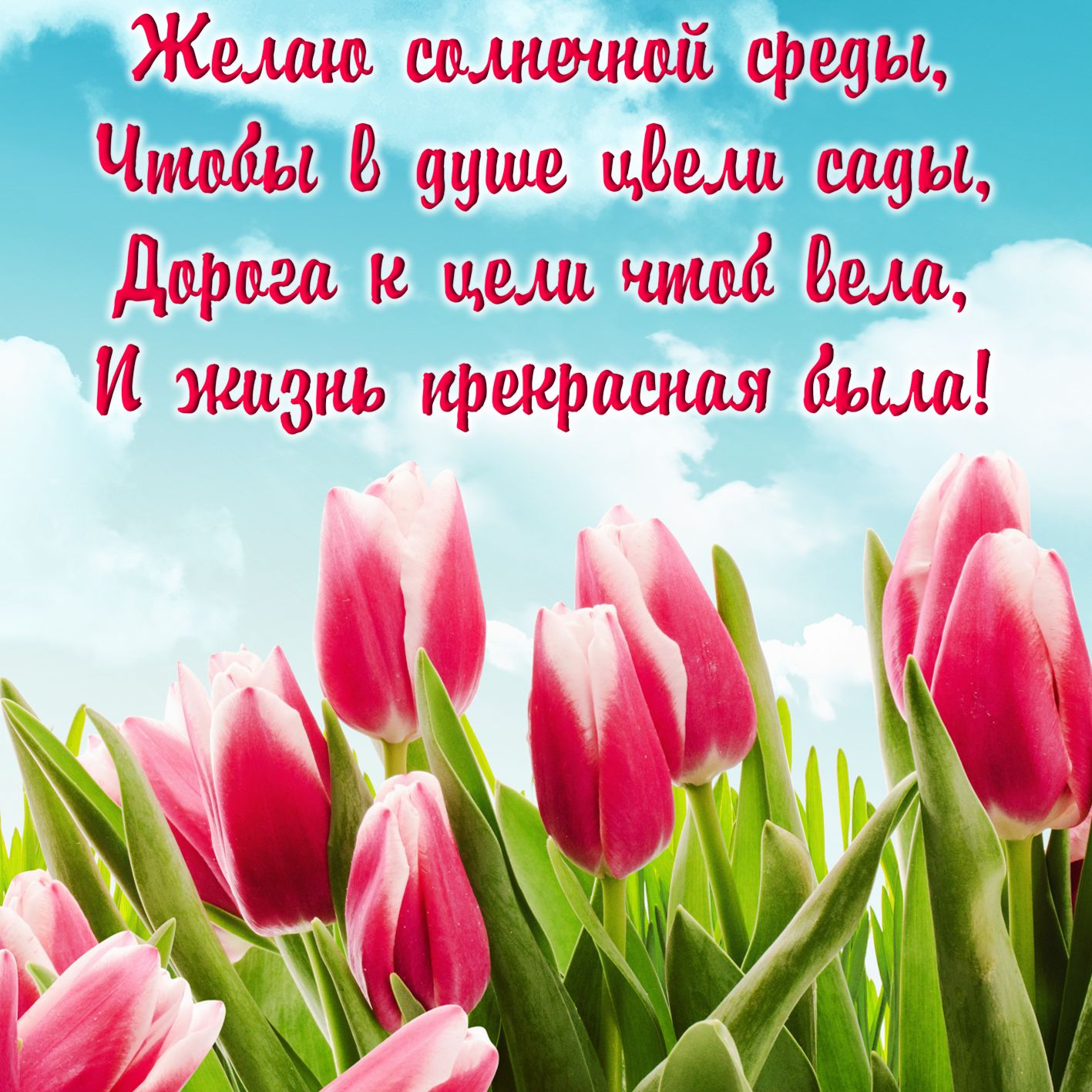 sreda0002.jpg